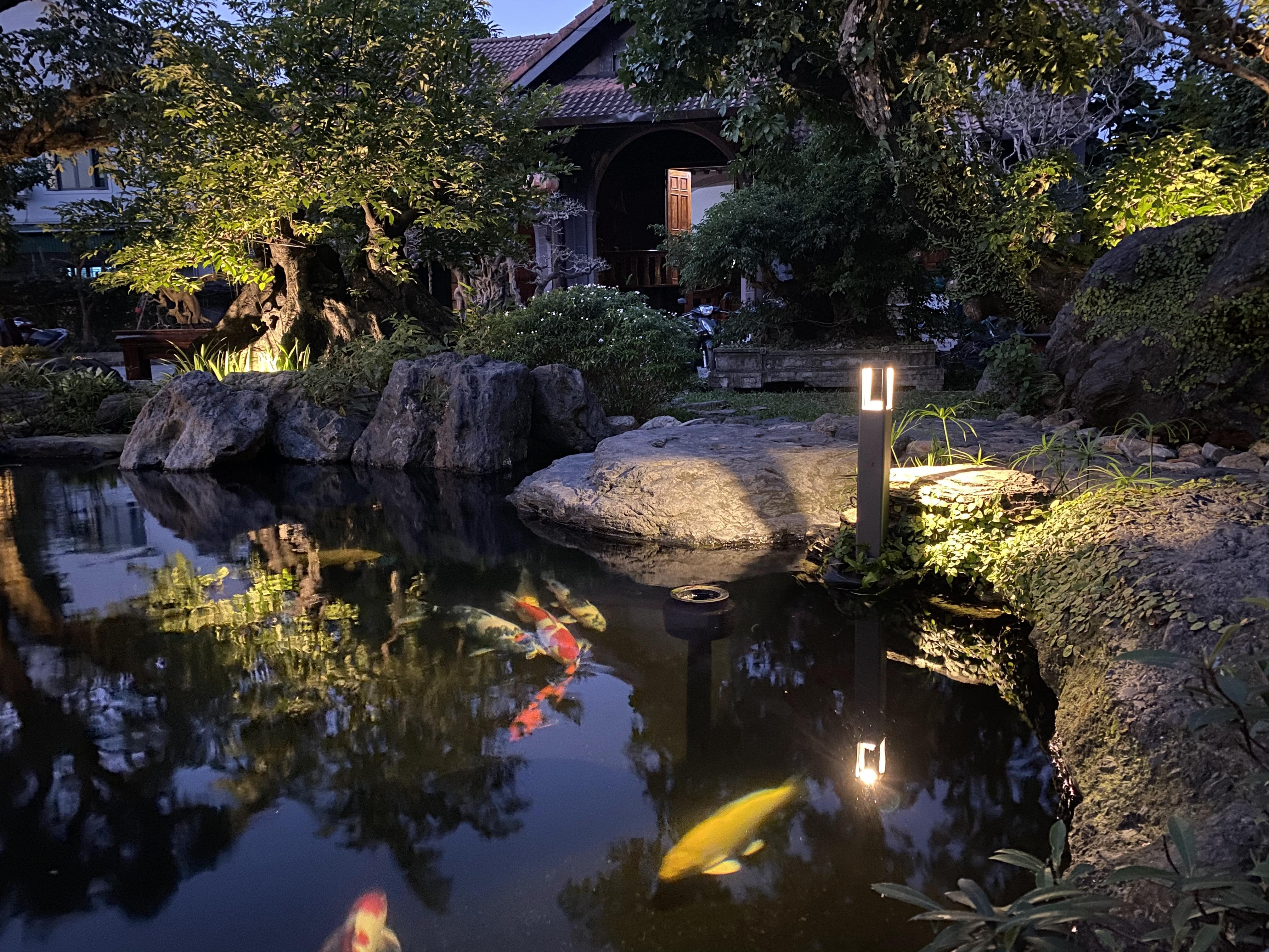 KOI CAFE